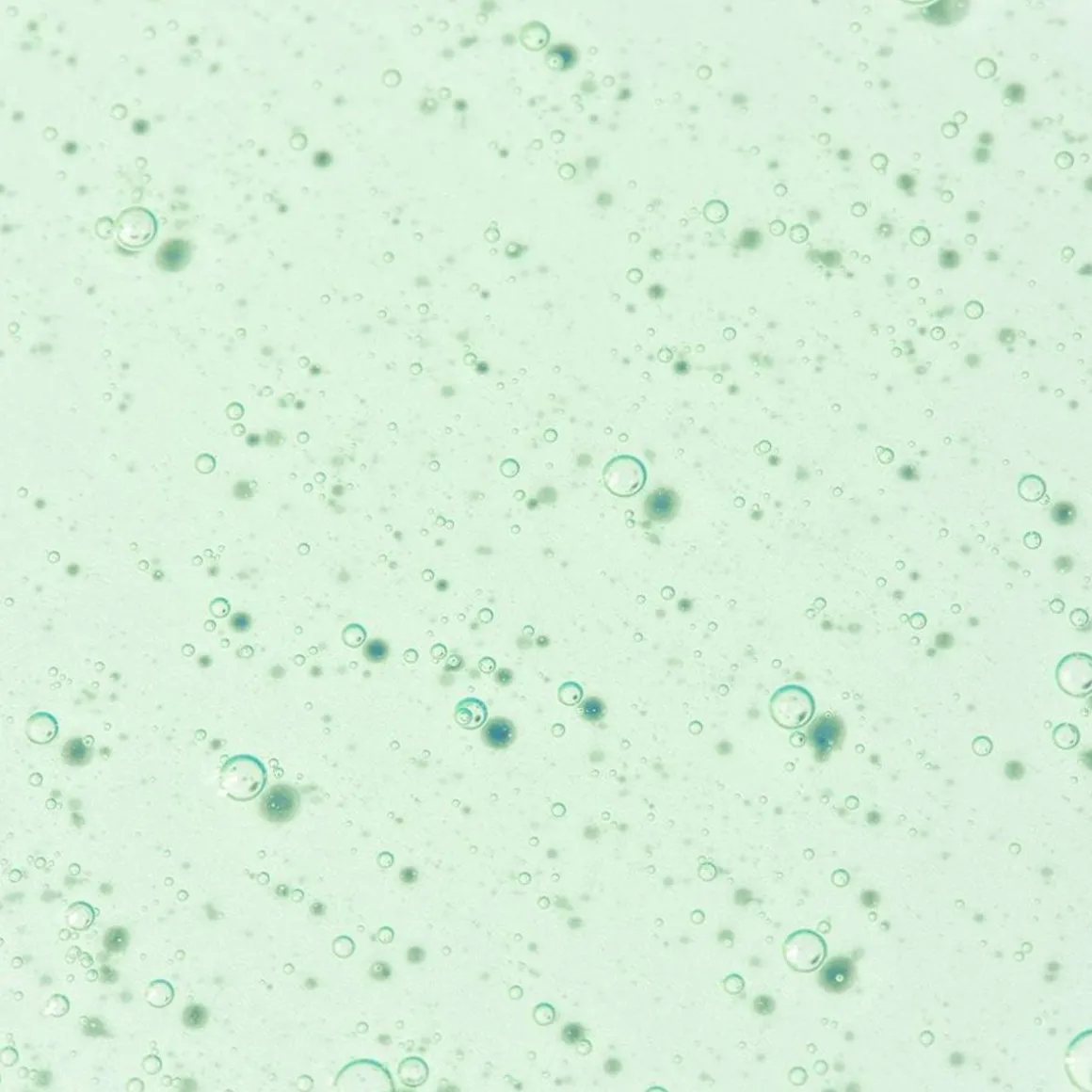 Verveine Petillante