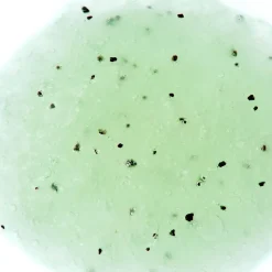 Verveine Petillante