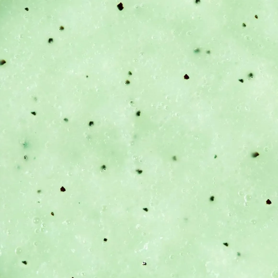 Verveine Petillante